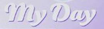 Picture for manufacturer MY DAY